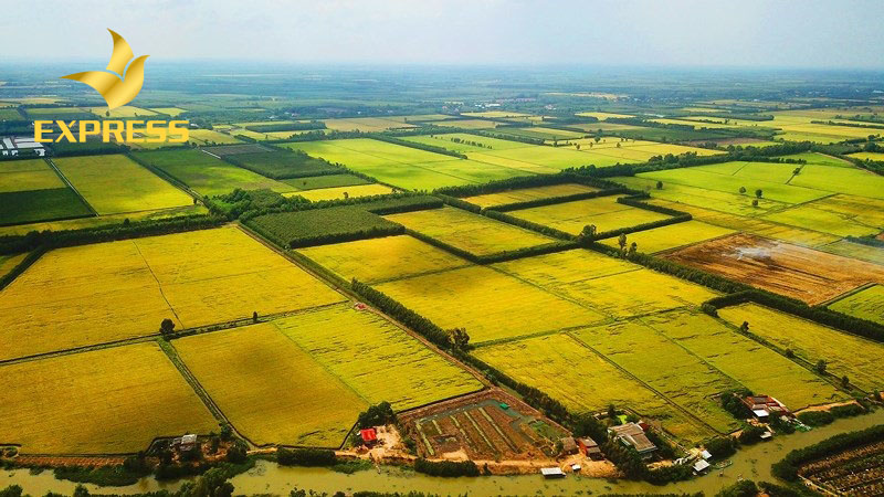 Điều kiện để được cấp sổ đỏ cho đất ruộng