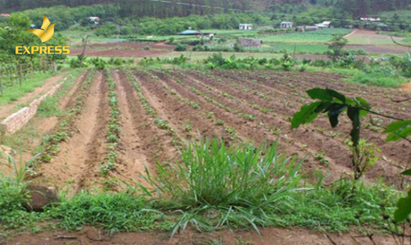 Giấy chứng nhận là giấy tờ quan trọng, công nhận quyền sử dụng của người dân khi giao đất