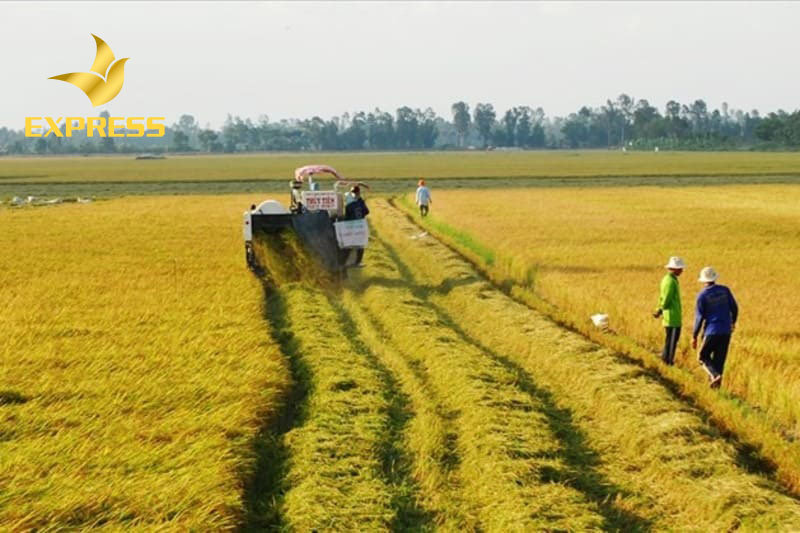 Hồ sơ cần có đủ các giấy tờ cần thiết khi yêu cầu cấp sổ đỏ cho đất ruộng