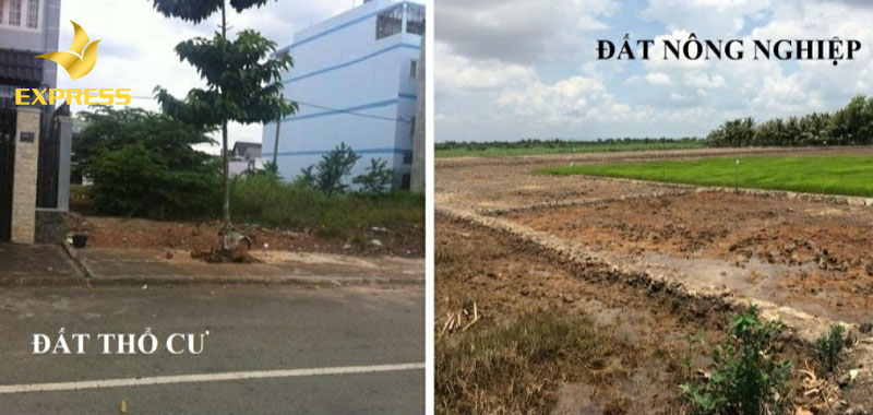 Khác nhau về mục đích sử dụng