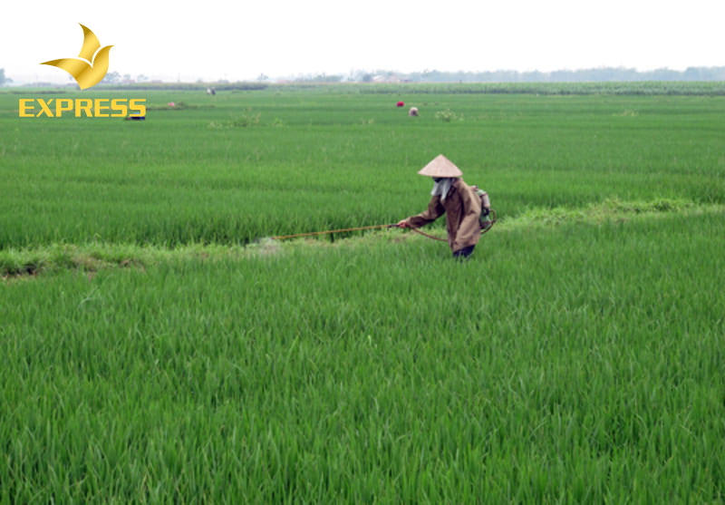 Kinh nghiệm mua bán đất thiết thực cho mọi người.