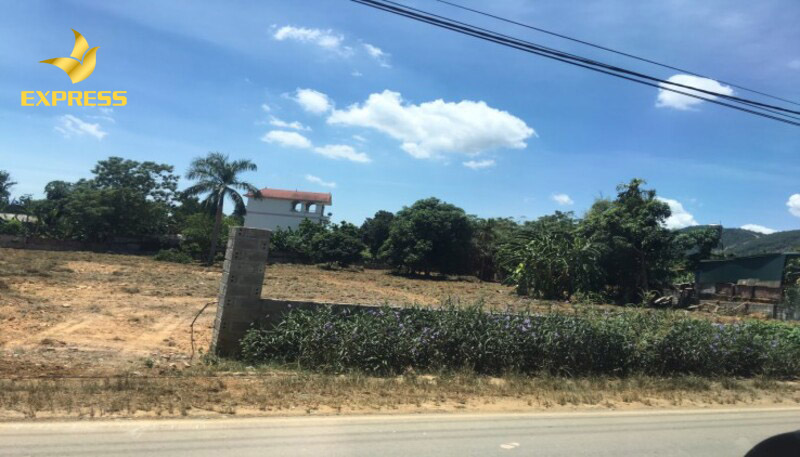 Một số lưu ý quan trọng khi mua bán đất thổ cư 1000m2.