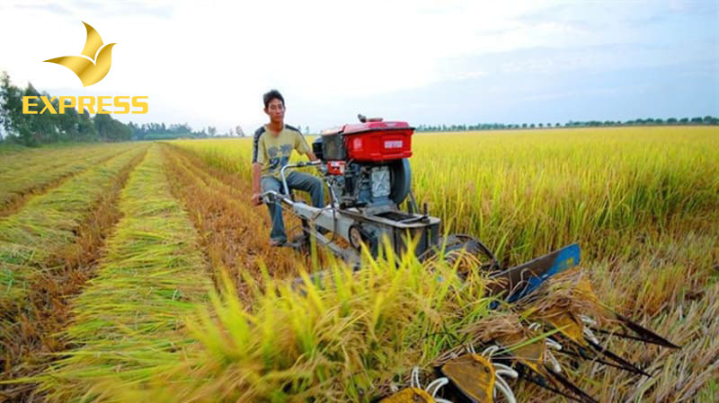 Nắm được thủ tục sang tên sổ đỏ cho đất ruộng để thực hiện đúng theo quy định của pháp luật