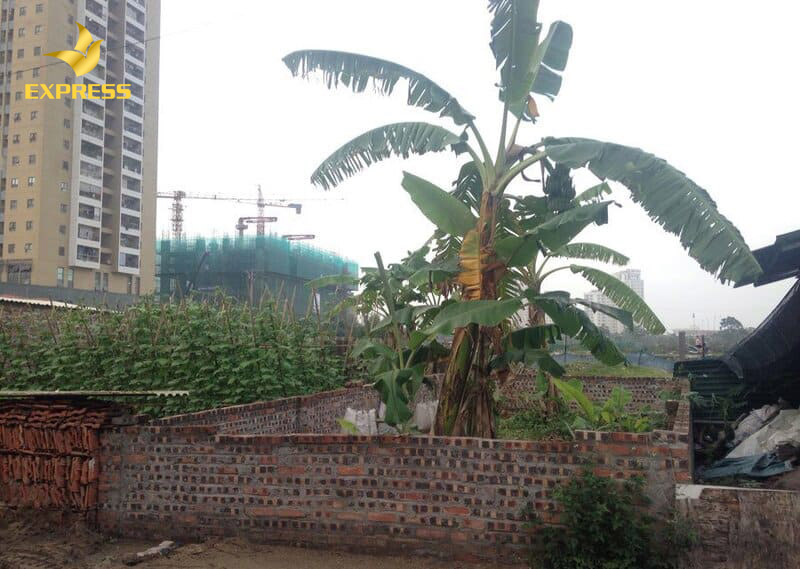 Người mua bỏ túi những kinh nghiệm mua bán đất thổ cư quý báu cho mình