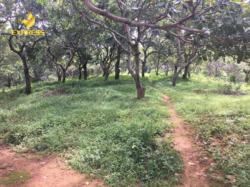 Người sử dụng đất cần chuẩn bị những gì để thực hiện thủ tục chuyển đổi mục đích sử dụng của đất