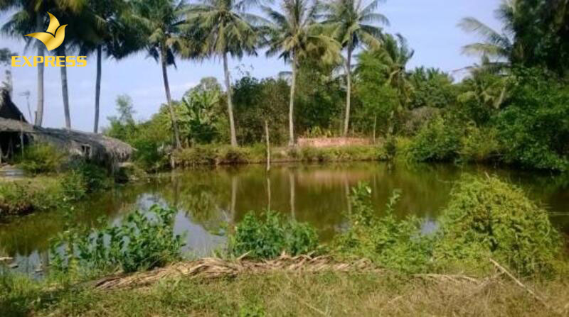 Người sử dụng đất muốn xây dựng nhà ở trên đất vườn phải thực hiện chuyển đổi mục đích sử dụng