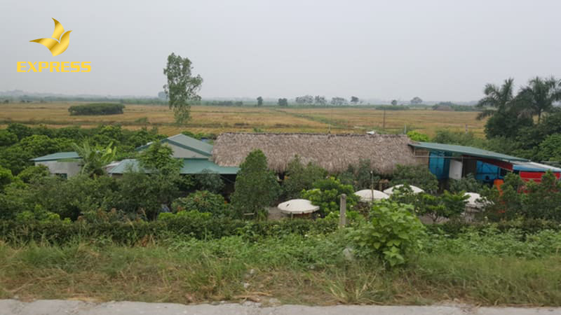 Người sử dụng đất sẽ bị phạt về hành vi phạm của mình nếu xây nhà ở trên đất vườn