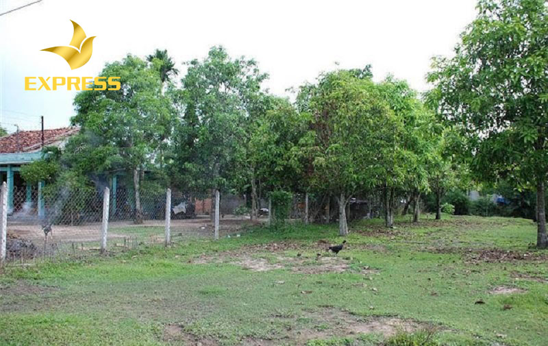 Những loại đất có thể được chấp thuận khi thực liên chuyển đổi lên thổ cư