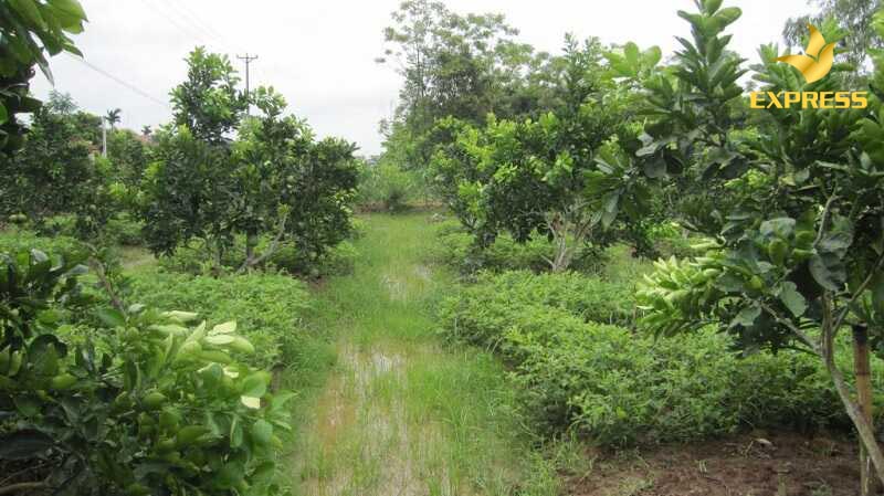 Thế nào là đất không có thổ cư?