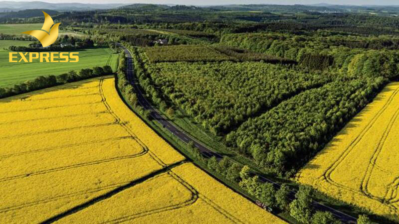 Tìm hiểu các thông tin liên quan đến mua bán đất thường xuyên để cập nhật tình hình