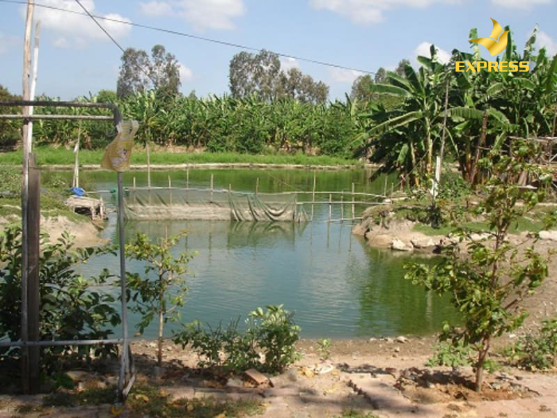 Trường hợp chuyển đổi mục đích từ đất nông nghiệp sang đất ở được tính tiền như thế nào?