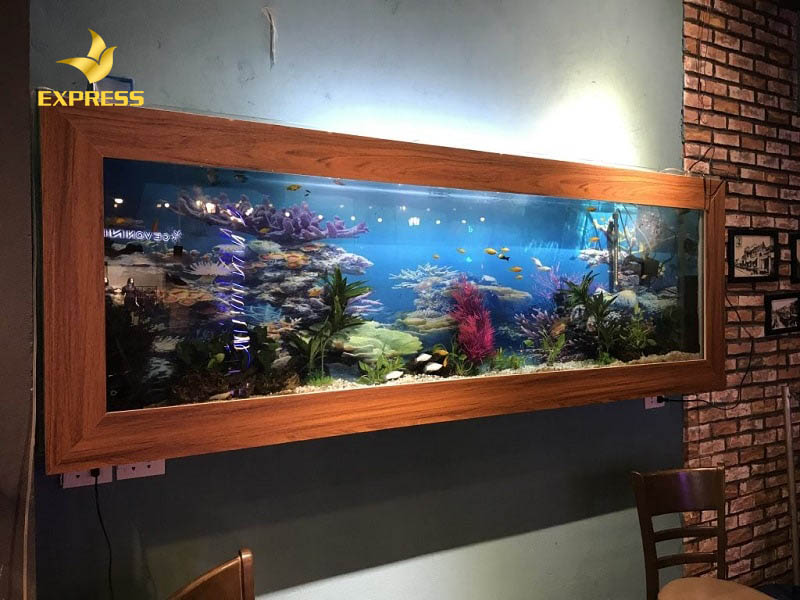 Đa dạng từ chất liệu, mẫu mã đến màu sắc bể cá