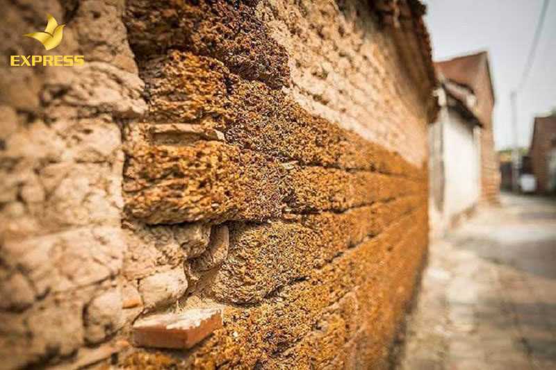 Gạch tổ ong - một loại gạch phục vụ cho việc xây dựng