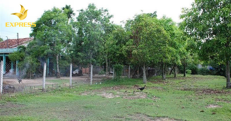 Khái niệm đất vườn là loại đất gì ?