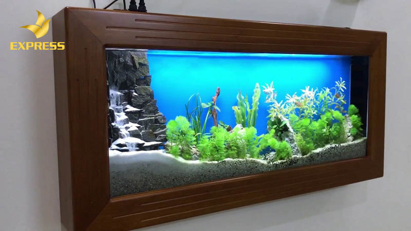 Mang ý nghĩa phong thủy và đem lại vượng khí, may mắn cho gia chủ