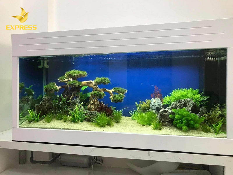 Những điều cần lưu ý khi chọn mua và sử dụng bể cá treo tường