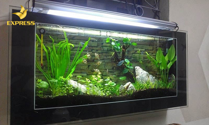  Thể hiện được sự đẳng cấp và sang trọng của gia chủ