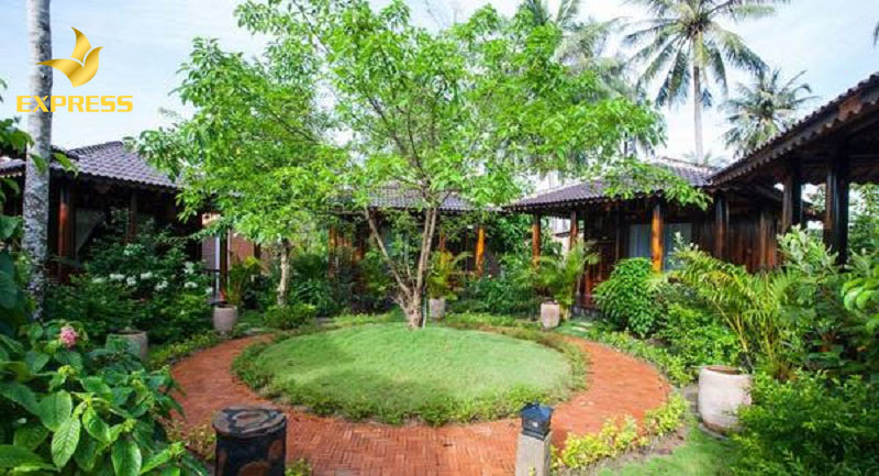 Tiềm năng đầu tư đất xanh làm Farmstay