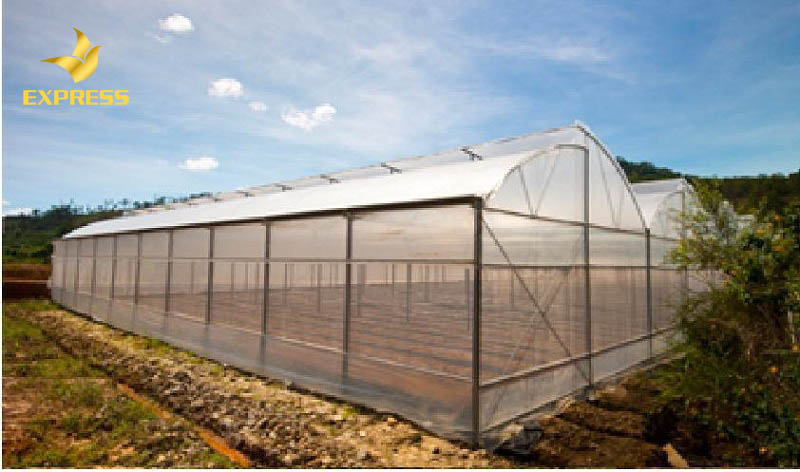 Ưu điểm của cách làm nhà lưới trồng rau