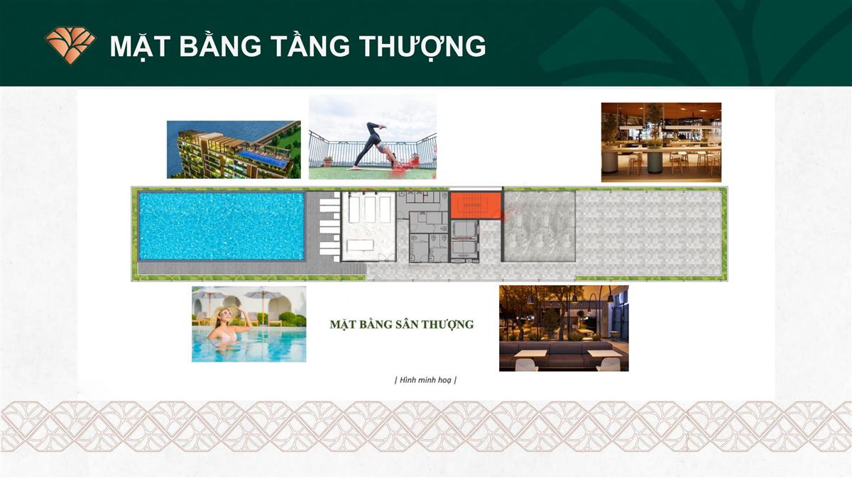 the forest gem binh thanh