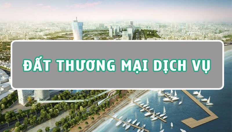 dat thuong mai dich vu