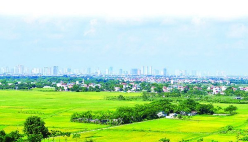 quy trinh chuyen doi muc dich su dung dat