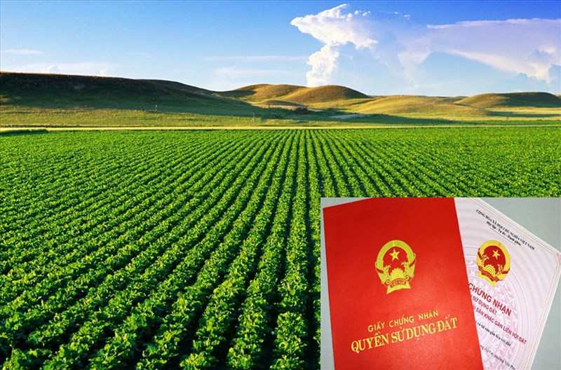 thu tuc tach so do dat nong nghiep