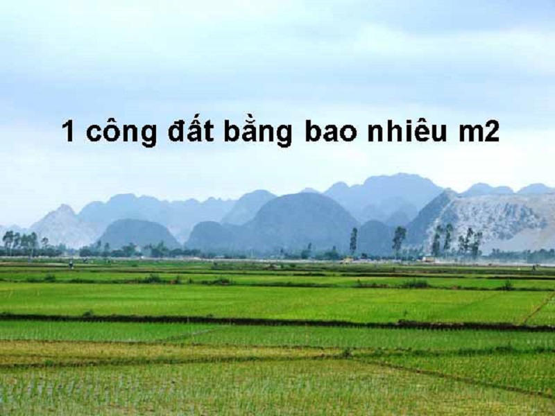 1 công đất bằng bao nhiêu mét vuông?