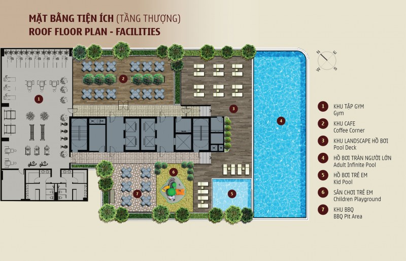 madison novaland quan 1