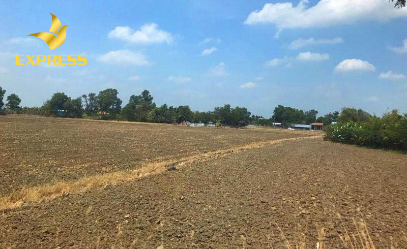 Bán đất ruộng Kiên Giang 2019 thu hút sự quan tâm đông đảo từ phía người dân