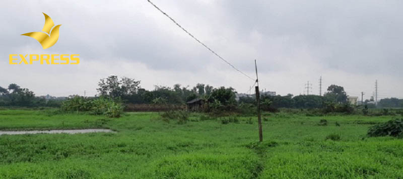 Bán đất ruộng thị xã Kiến Tường nhận được sự quan tâm đông đảo từ phía người dân