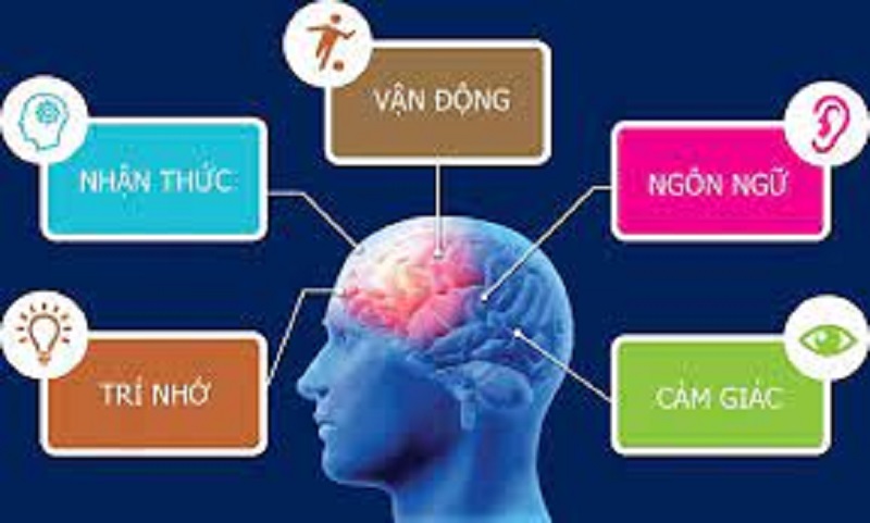 Bức xạ điện từ gây ảnh hưởng đến não bộ của con người