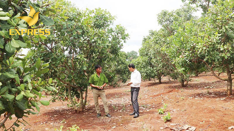 Các khoản hỗ trợ nhằm ổn định đời sống người dân khi đất nông nghiệp bị thu hồi