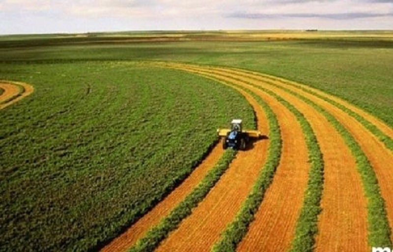 Các nhóm đất nông nghiệp