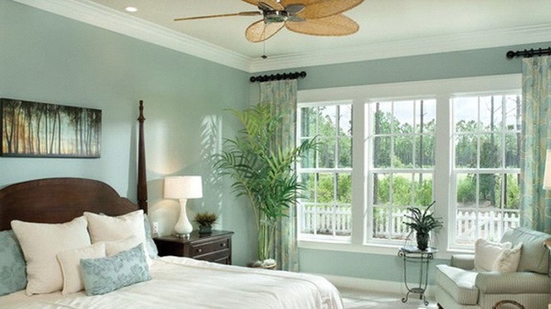 Cách chọn cây để trong phòng ngủ