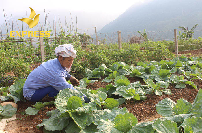 Cách tính giá đất đền bù mới nhất được Nhà nước áp dụng