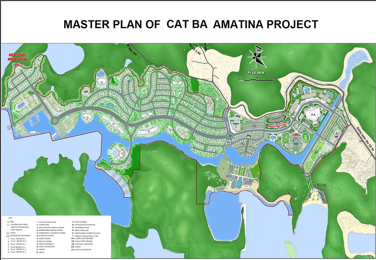 cat ba amatina 