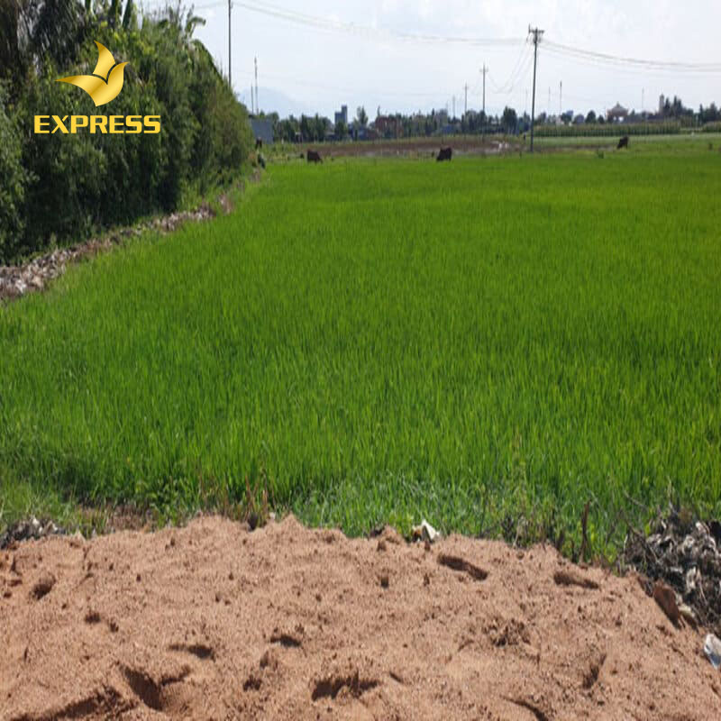 Cuối năm 2019 đất Đức Hòa tăng 1 cách nhanh chóng