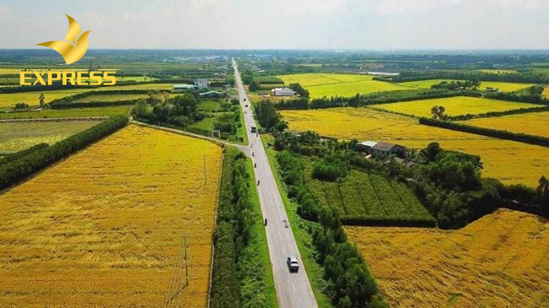 Đặc điểm đất ruộng Diên An