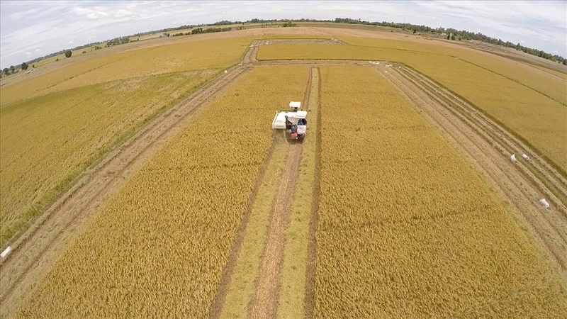 Đất nông nghiệp có được cấp giấy chứng nhận quyền sử dụng đất không?