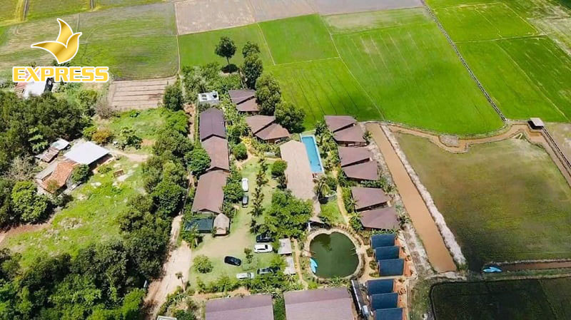 Đất nông nghiệp có thể được cấp sổ đỏ