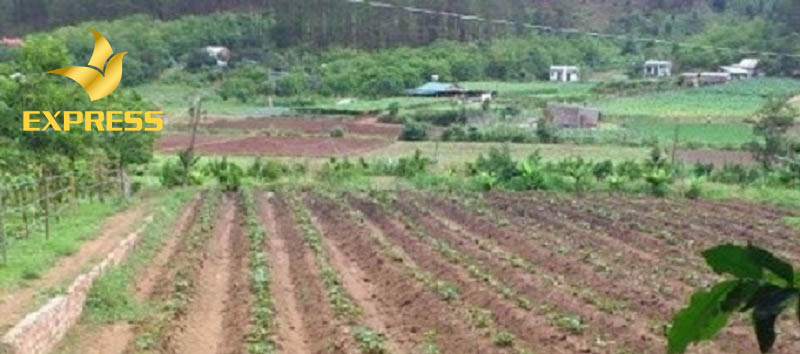 Đất nông nghiệp khác với đất phi nông nghiệp