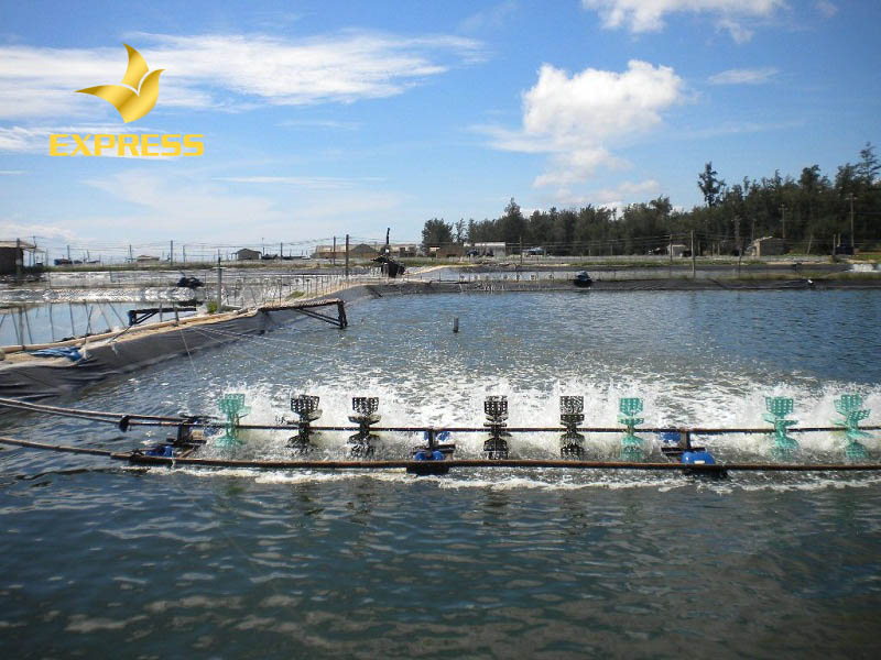 Đất nuôi trồng thủy hải sản cũng có thời hạn sử dụng giống đất ruộng