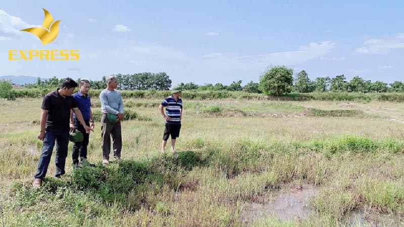 Đất ruộng An Giang