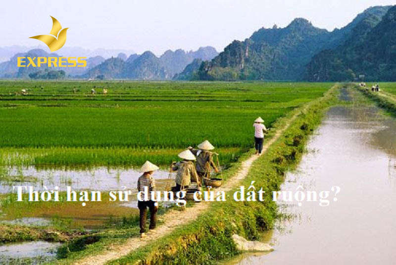 Đất ruộng được sử dụng bao nhiêu năm là thắc mắc của nhiều người