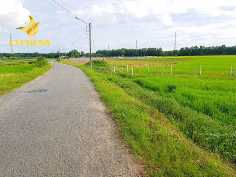 Đất ruộng giá rẻ Giồng Riềng