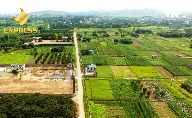 Đất ruộng huyện Cao Lãnh được quan tâm vì đã có nhiều kế hoạch phát triển kinh tế