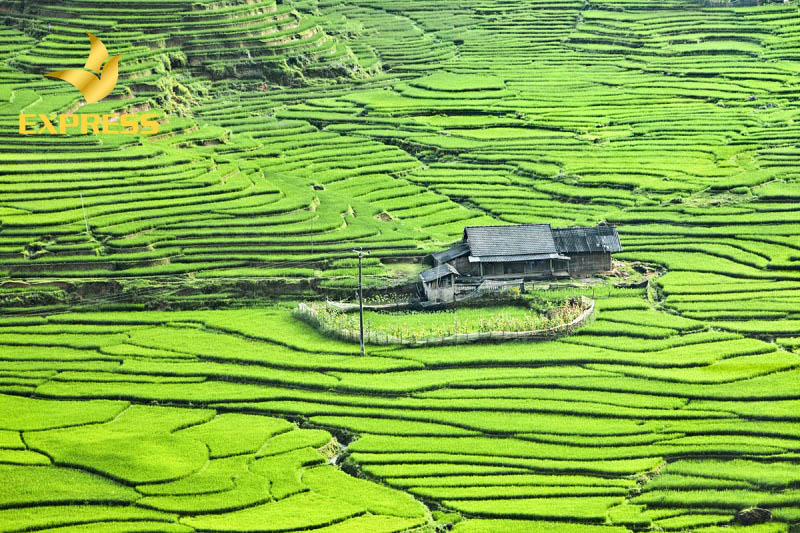 Đất ruộng là gì?