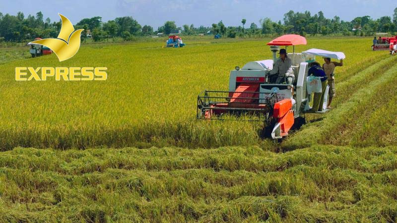 Đất ruộng là gì?