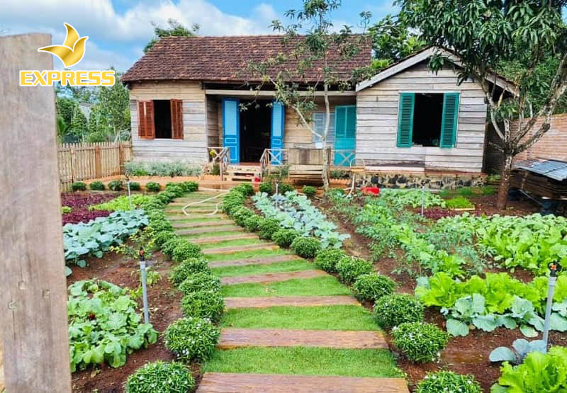 Đất ruộng và đất vườn là hai loại khác nhau, có tính chất và quy định khác nhau